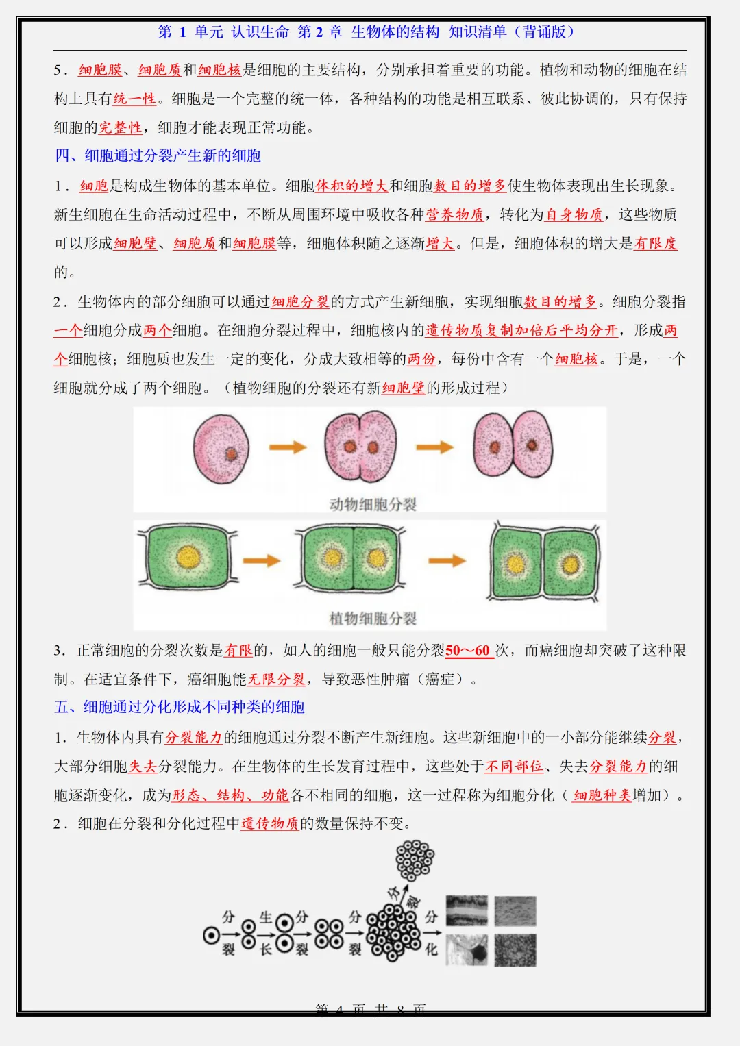 【初一】新版七年级上册生物北京版全册重点知识点背诵清单,完整版可打印(2026)-第7张图片-四季读书网 【初一】新版七年级上册生物北京版全册重点知识点背诵清单,完整版可打印(2026)-第7张图片-四季读书网