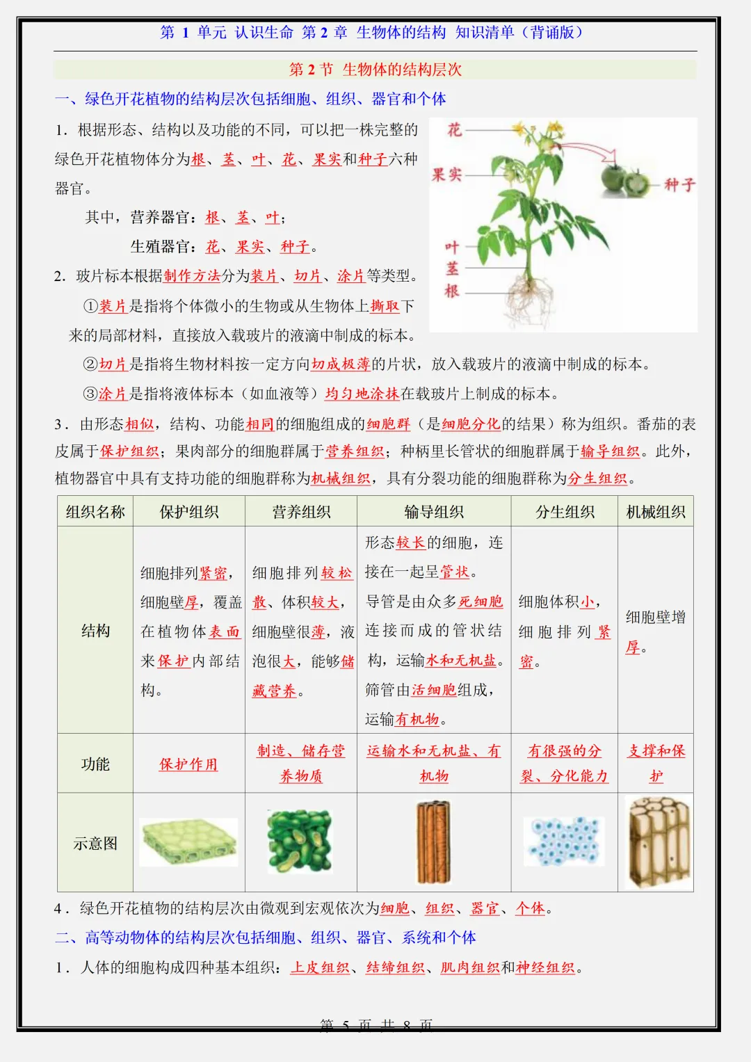【初一】新版七年级上册生物北京版全册重点知识点背诵清单,完整版可打印(2026)-第8张图片-四季读书网 【初一】新版七年级上册生物北京版全册重点知识点背诵清单,完整版可打印(2026)-第8张图片-四季读书网