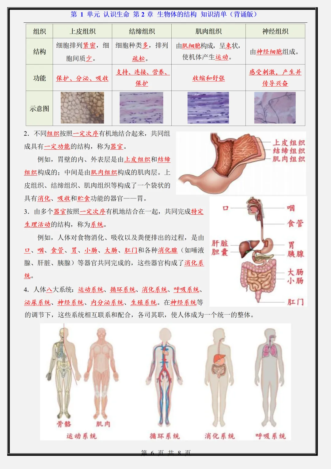 【初一】新版七年级上册生物北京版全册重点知识点背诵清单,完整版可打印(2026)-第9张图片-四季读书网 【初一】新版七年级上册生物北京版全册重点知识点背诵清单,完整版可打印(2026)-第9张图片-四季读书网