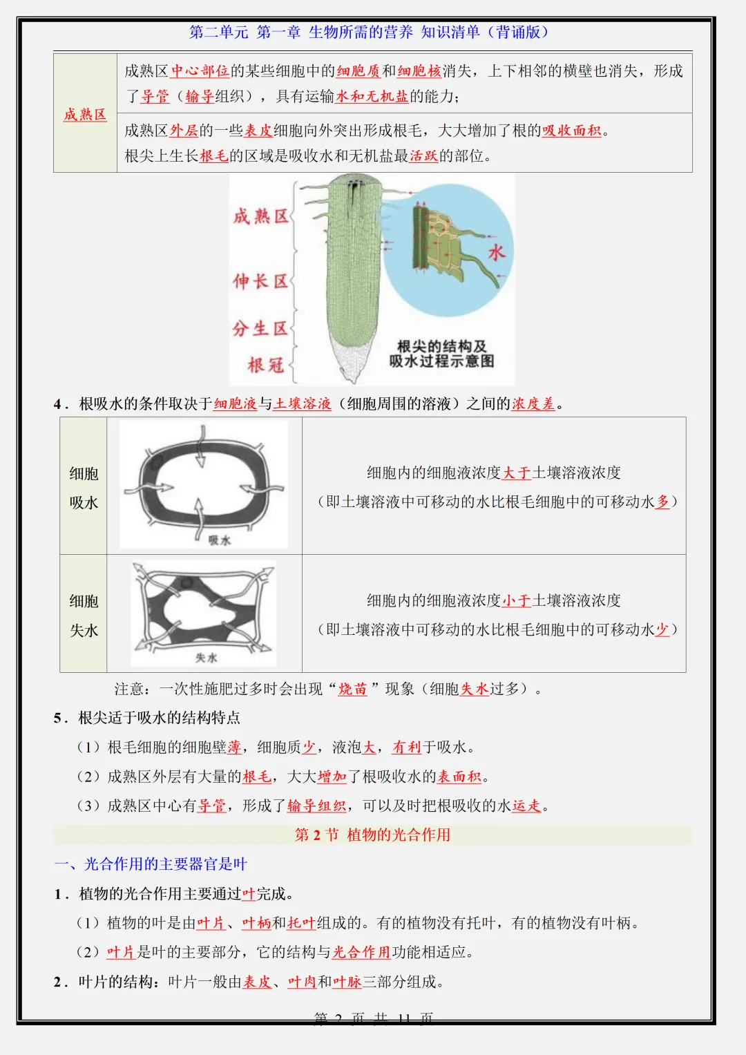 【初一】新版七年级上册生物北京版全册重点知识点背诵清单,完整版可打印(2026)-第13张图片-四季读书网 【初一】新版七年级上册生物北京版全册重点知识点背诵清单,完整版可打印(2026)-第13张图片-四季读书网