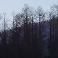 限量!速领!《2027萧山中考政策白皮书》全线上新-第5张图片-四季读书网 限量!速领!《2027萧山中考政策白皮书》全线上新-第5张图片-四季读书网