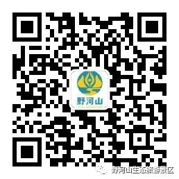 扩散!扶风县关于做好高考中考期间县城区域核酸检测工作的通告-第6张图片-四季读书网