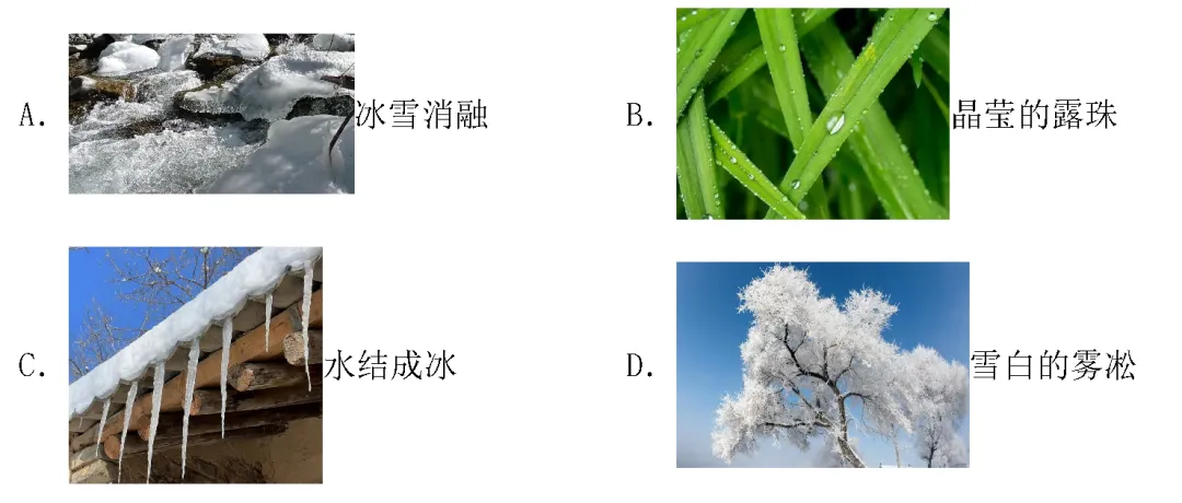 初二物理|3个诀窍帮孩子分清升华和凝华-第5张图片-四季读书网 初二物理|3个诀窍帮孩子分清升华和凝华-第5张图片-四季读书网