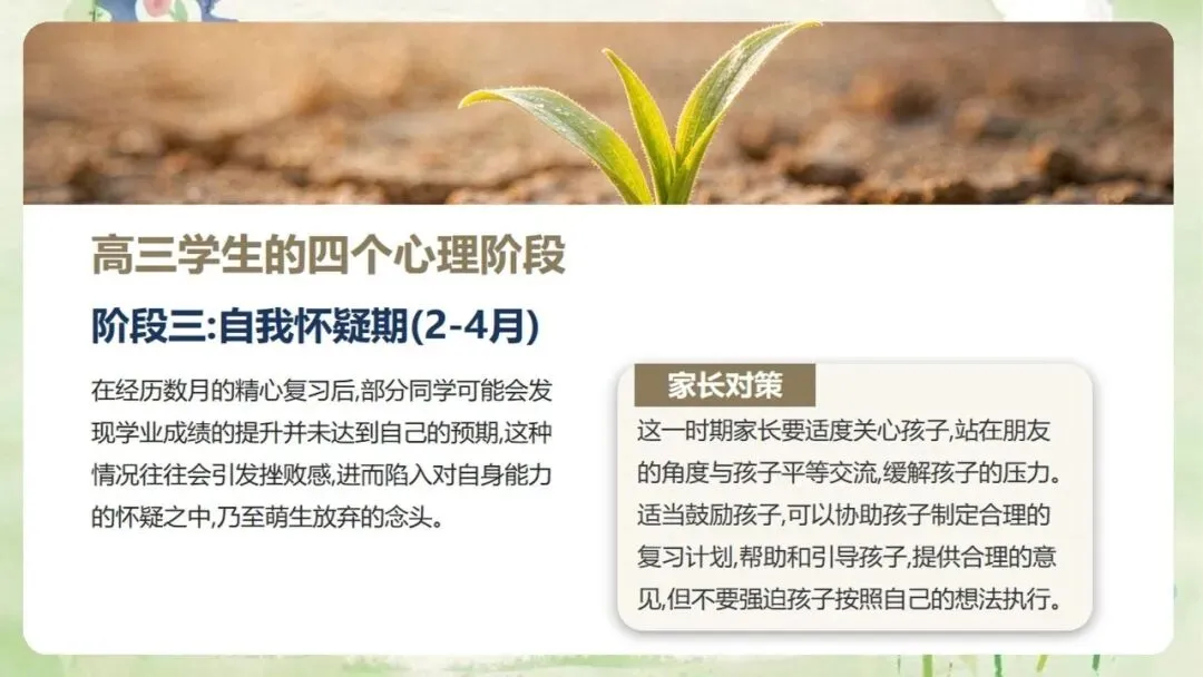 《高三上学期期中家长会:同心聚力,赢战高考》PPT课件+发言稿,电子版可编辑修改-第25张图片-四季读书网 《高三上学期期中家长会:同心聚力,赢战高考》PPT课件+发言稿,电子版可编辑修改-第25张图片-四季读书网