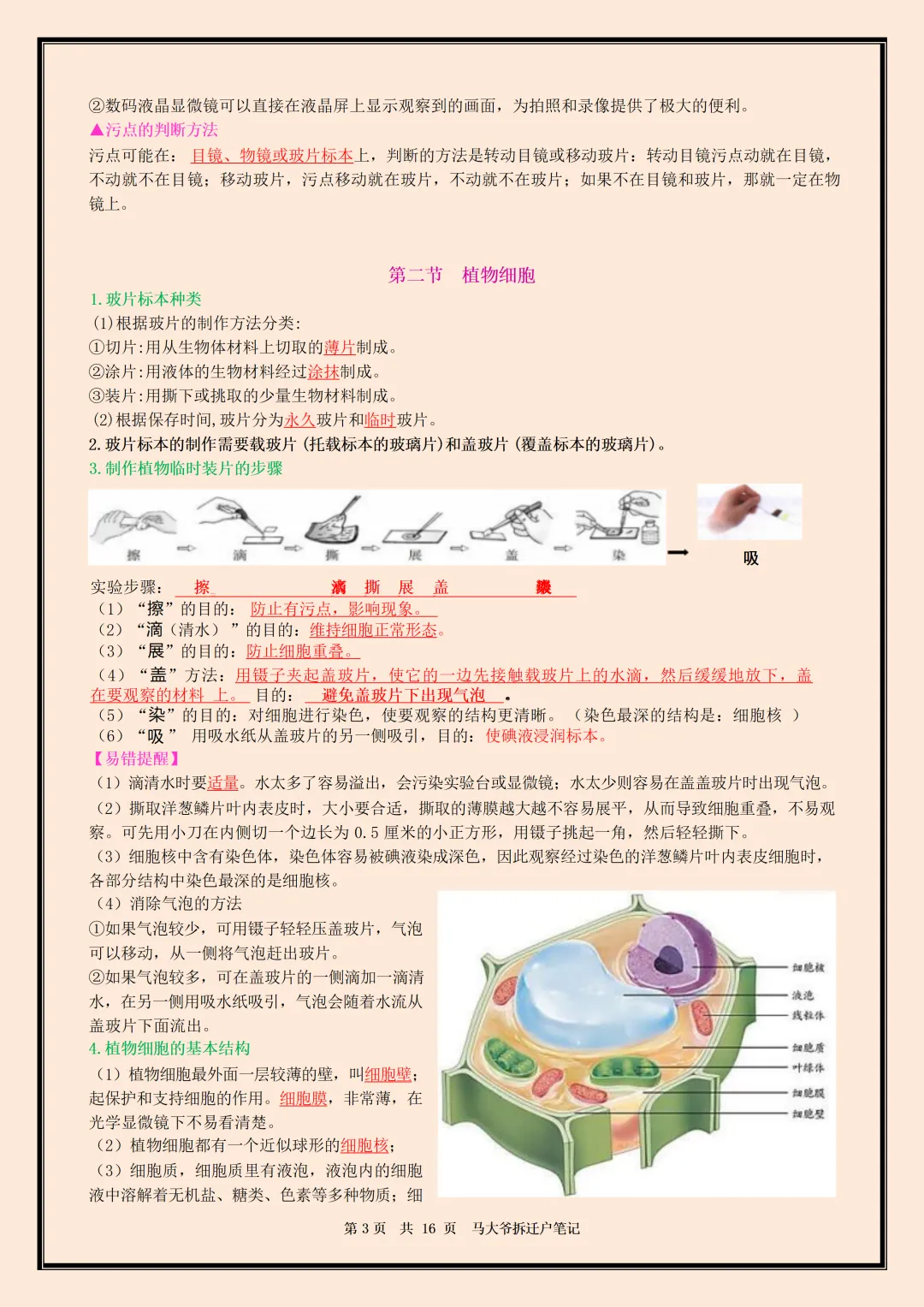 初一 | 新教材七年级上册生物全册必背核心考点知识点总结,2026完整版可打印-第3张图片-四季读书网 初一 | 新教材七年级上册生物全册必背核心考点知识点总结,2026完整版可打印-第3张图片-四季读书网