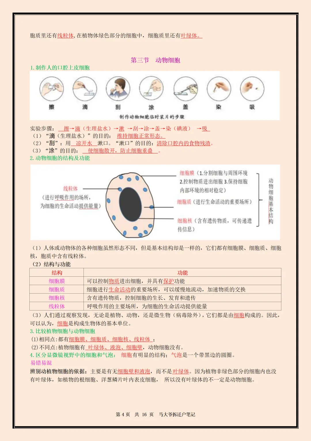 初一 | 新教材七年级上册生物全册必背核心考点知识点总结,2026完整版可打印-第4张图片-四季读书网 初一 | 新教材七年级上册生物全册必背核心考点知识点总结,2026完整版可打印-第4张图片-四季读书网