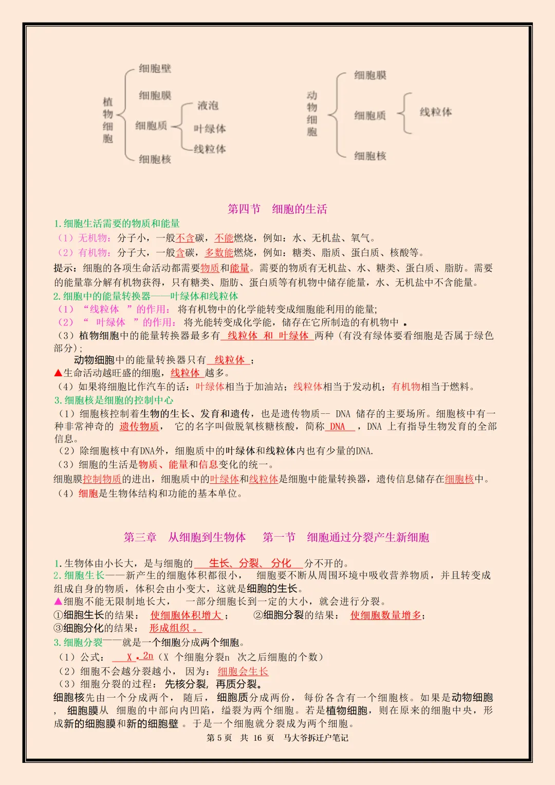 初一 | 新教材七年级上册生物全册必背核心考点知识点总结,2026完整版可打印-第5张图片-四季读书网 初一 | 新教材七年级上册生物全册必背核心考点知识点总结,2026完整版可打印-第5张图片-四季读书网