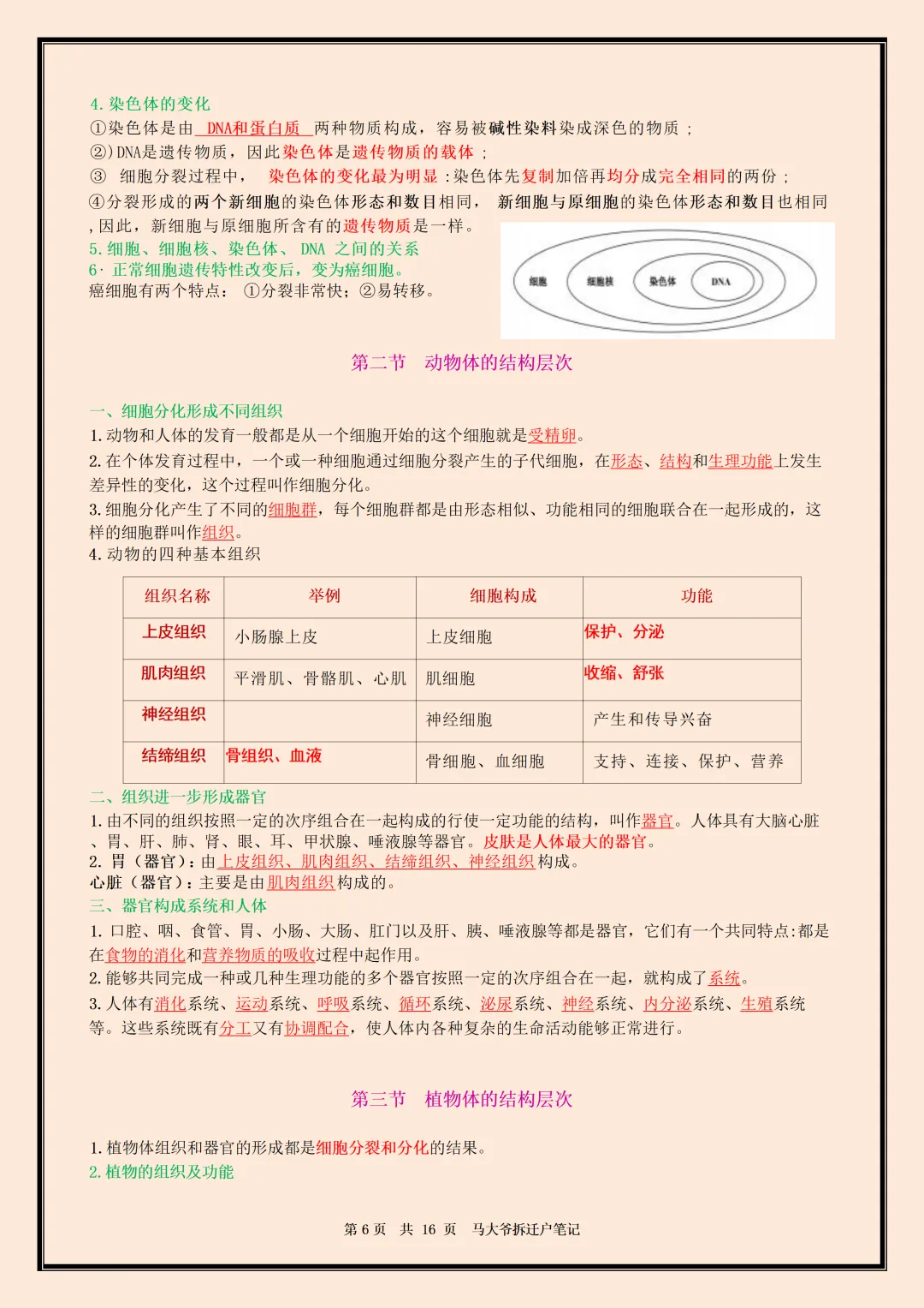 初一 | 新教材七年级上册生物全册必背核心考点知识点总结,2026完整版可打印-第6张图片-四季读书网 初一 | 新教材七年级上册生物全册必背核心考点知识点总结,2026完整版可打印-第6张图片-四季读书网