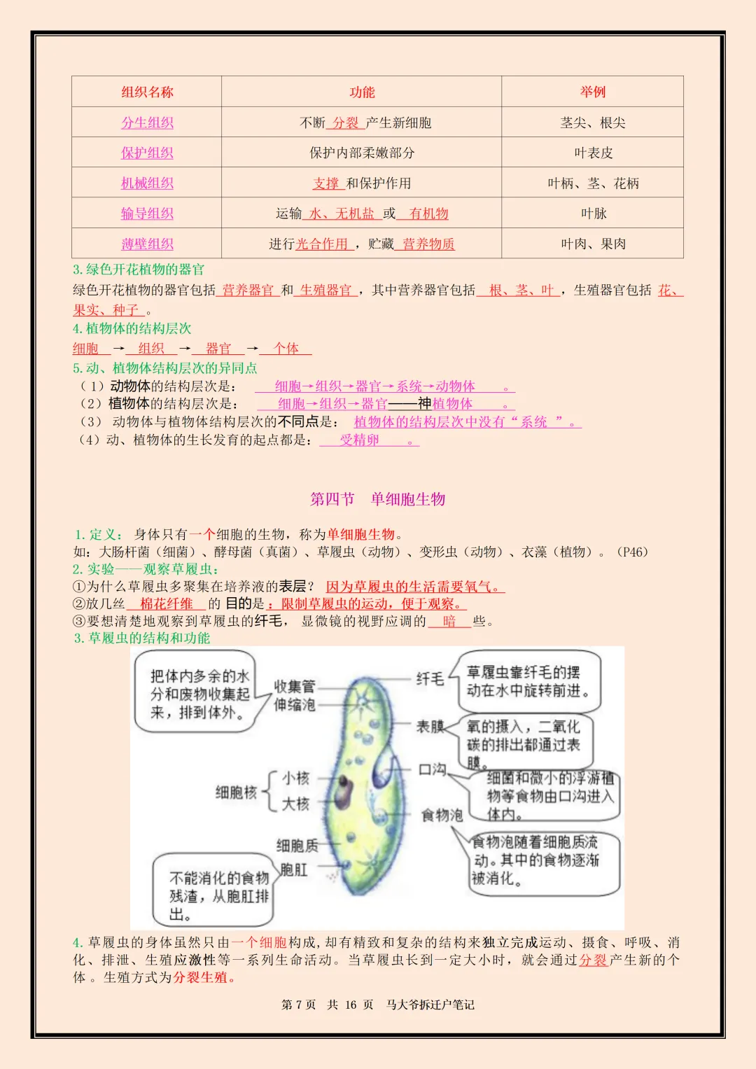 初一 | 新教材七年级上册生物全册必背核心考点知识点总结,2026完整版可打印-第7张图片-四季读书网 初一 | 新教材七年级上册生物全册必背核心考点知识点总结,2026完整版可打印-第7张图片-四季读书网