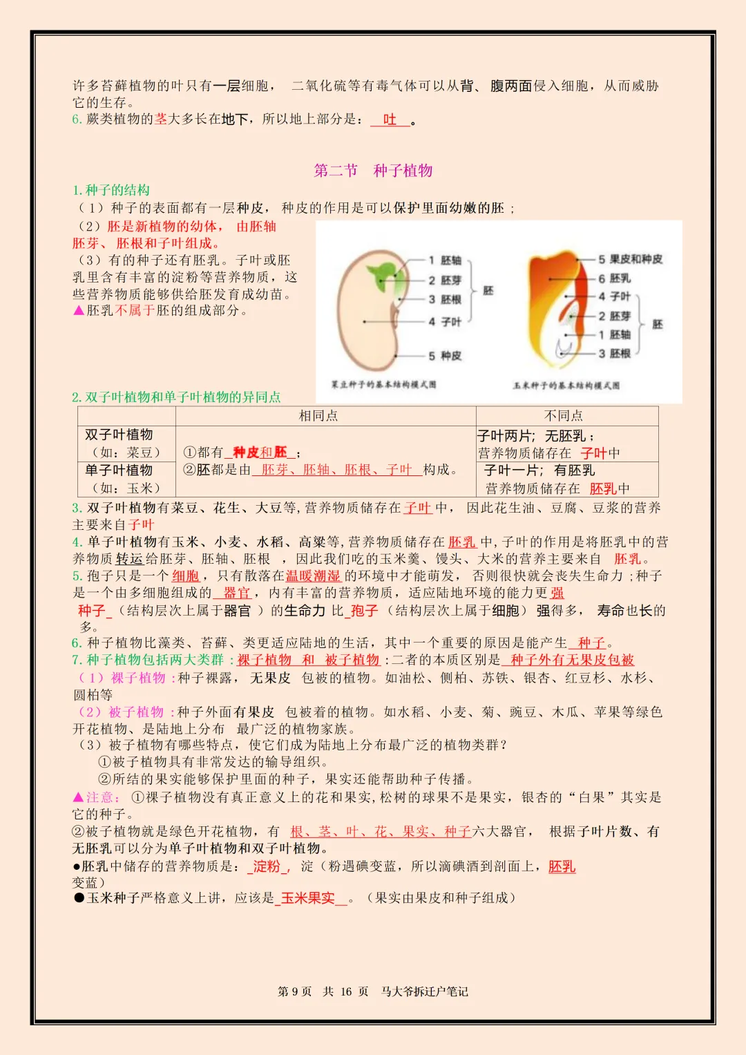 初一 | 新教材七年级上册生物全册必背核心考点知识点总结,2026完整版可打印-第9张图片-四季读书网 初一 | 新教材七年级上册生物全册必背核心考点知识点总结,2026完整版可打印-第9张图片-四季读书网