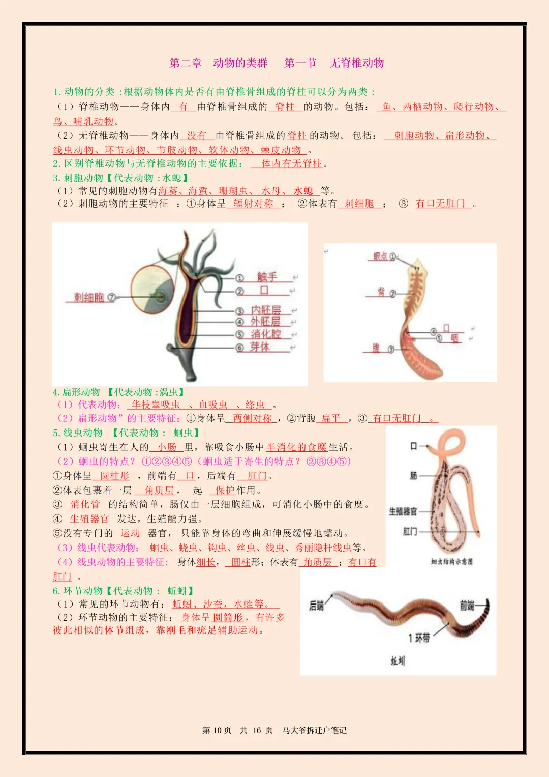 初一 | 新教材七年级上册生物全册必背核心考点知识点总结,2026完整版可打印-第10张图片-四季读书网 初一 | 新教材七年级上册生物全册必背核心考点知识点总结,2026完整版可打印-第10张图片-四季读书网