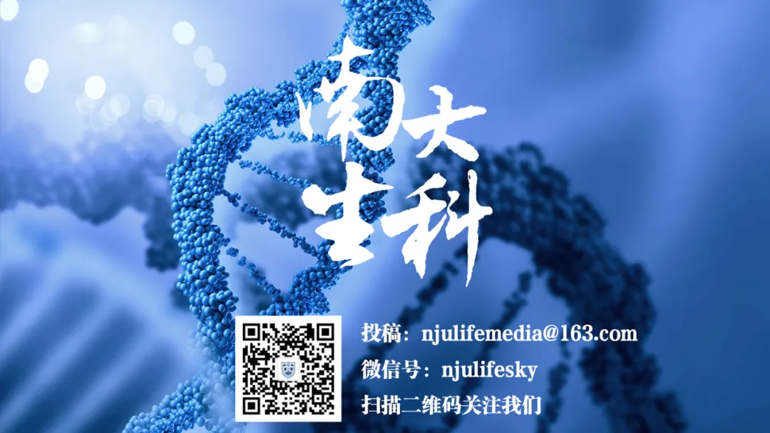 活动预告 | 江苏名优&浙江选调笔试全真模拟考试备战专场!-第3张图片-四季读书网 活动预告 | 江苏名优&浙江选调笔试全真模拟考试备战专场!-第3张图片-四季读书网