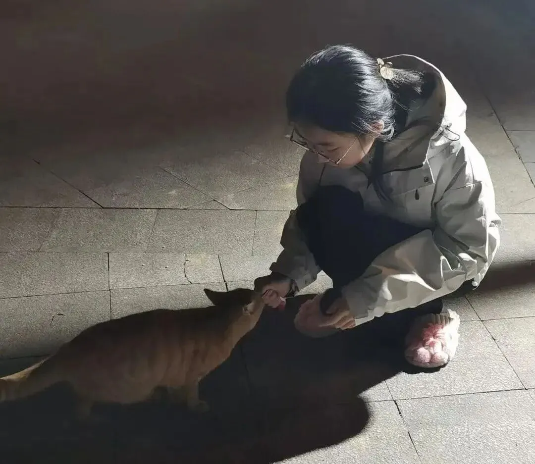 初三太苦,周三很甜-第3张图片-四季读书网