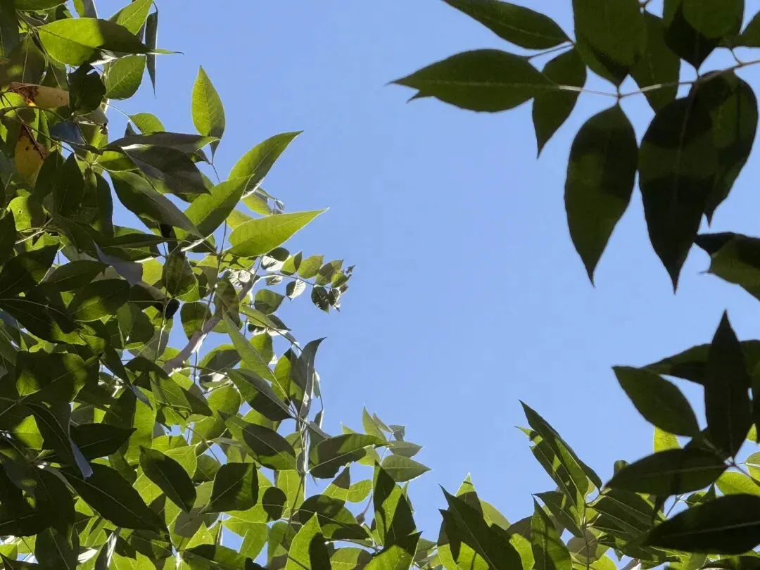 Day1508以温柔接住初三的风浪-第1张图片-四季读书网