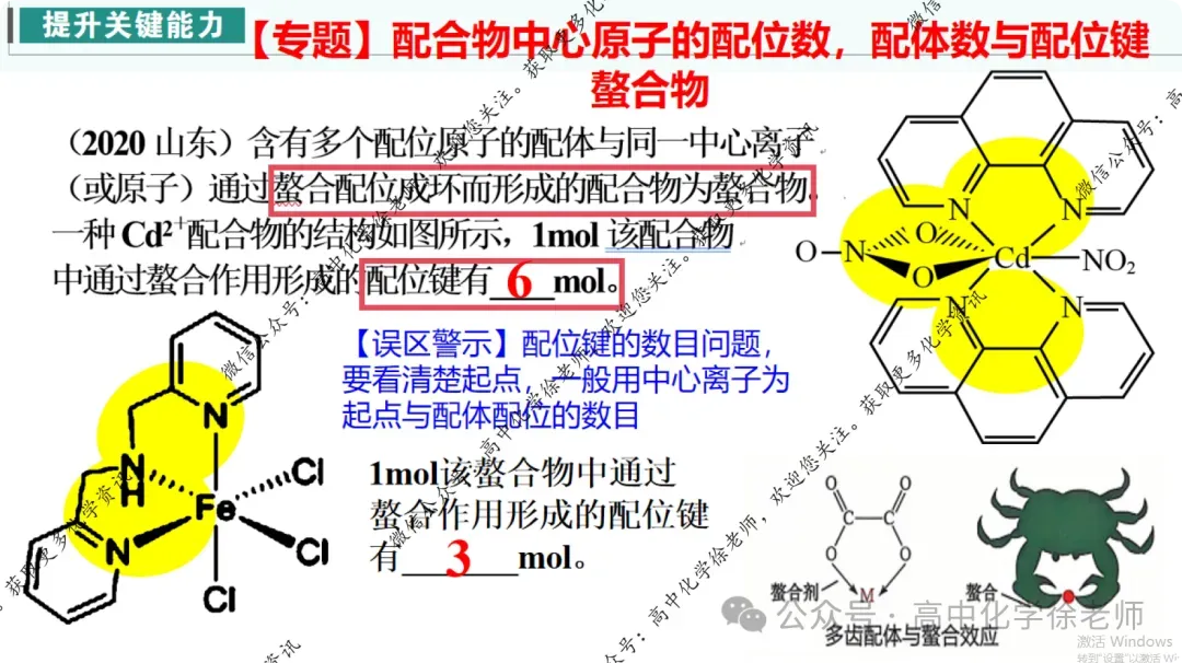 自用课件||2027届高考化学第一轮复习适用的课件18配合物及其拓展-第19张图片-四季读书网 自用课件||2027届高考化学第一轮复习适用的课件18配合物及其拓展-第19张图片-四季读书网
