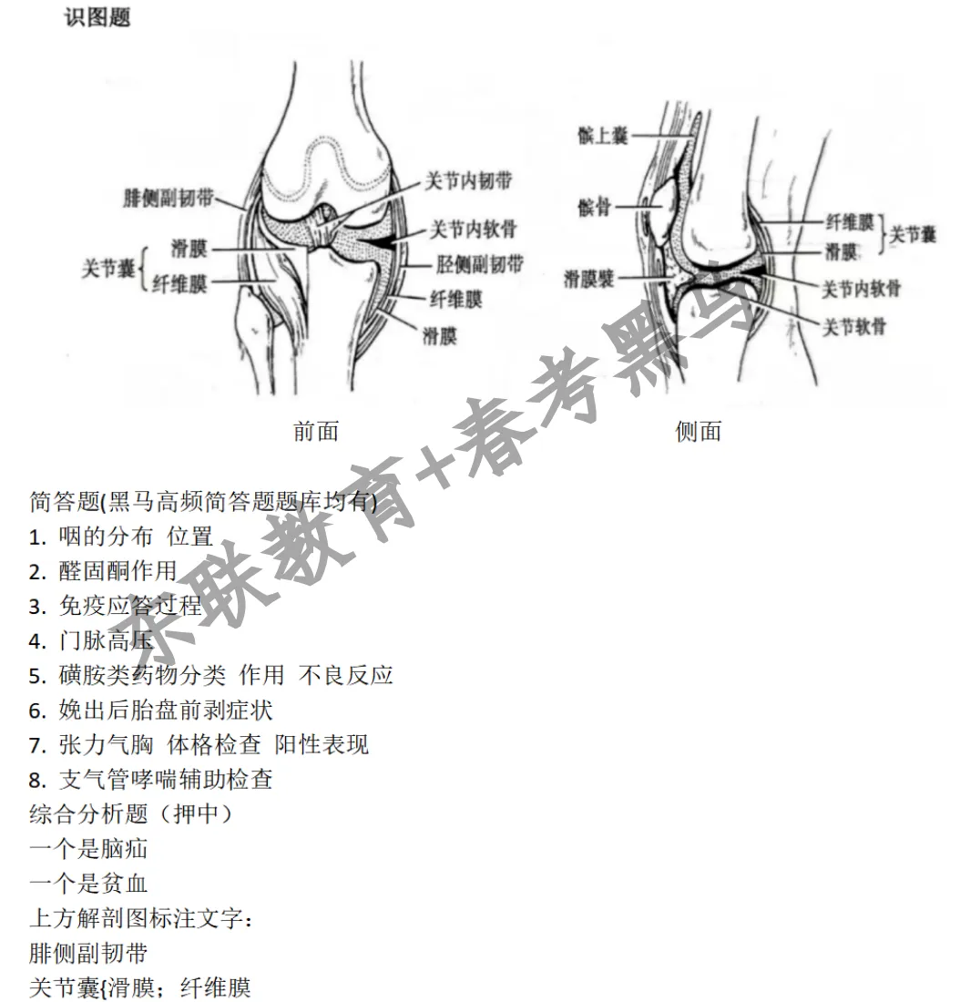 27年春考必刷真题!!!!2025年医学技术考试真题(考生回忆版)-第4张图片-四季读书网