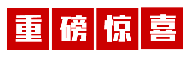2026故城三月初三传统大庙会重新启动!马戏票免费领,非遗打铁花免费看,民俗大集约起来!200万消费券免费送送送-第14张图片-四季读书网
