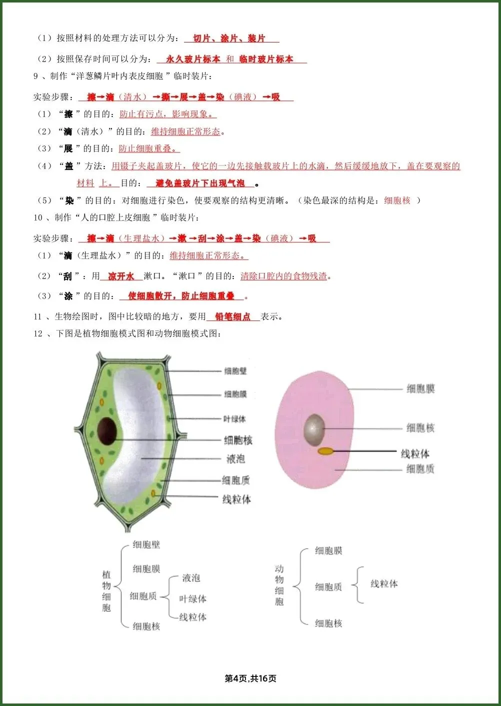 初一新教材七上生物全册课文基础知识点梳理背读总结电子打印版!(2026 新)-第3张图片-四季读书网 初一新教材七上生物全册课文基础知识点梳理背读总结电子打印版!(2026 新)-第3张图片-四季读书网