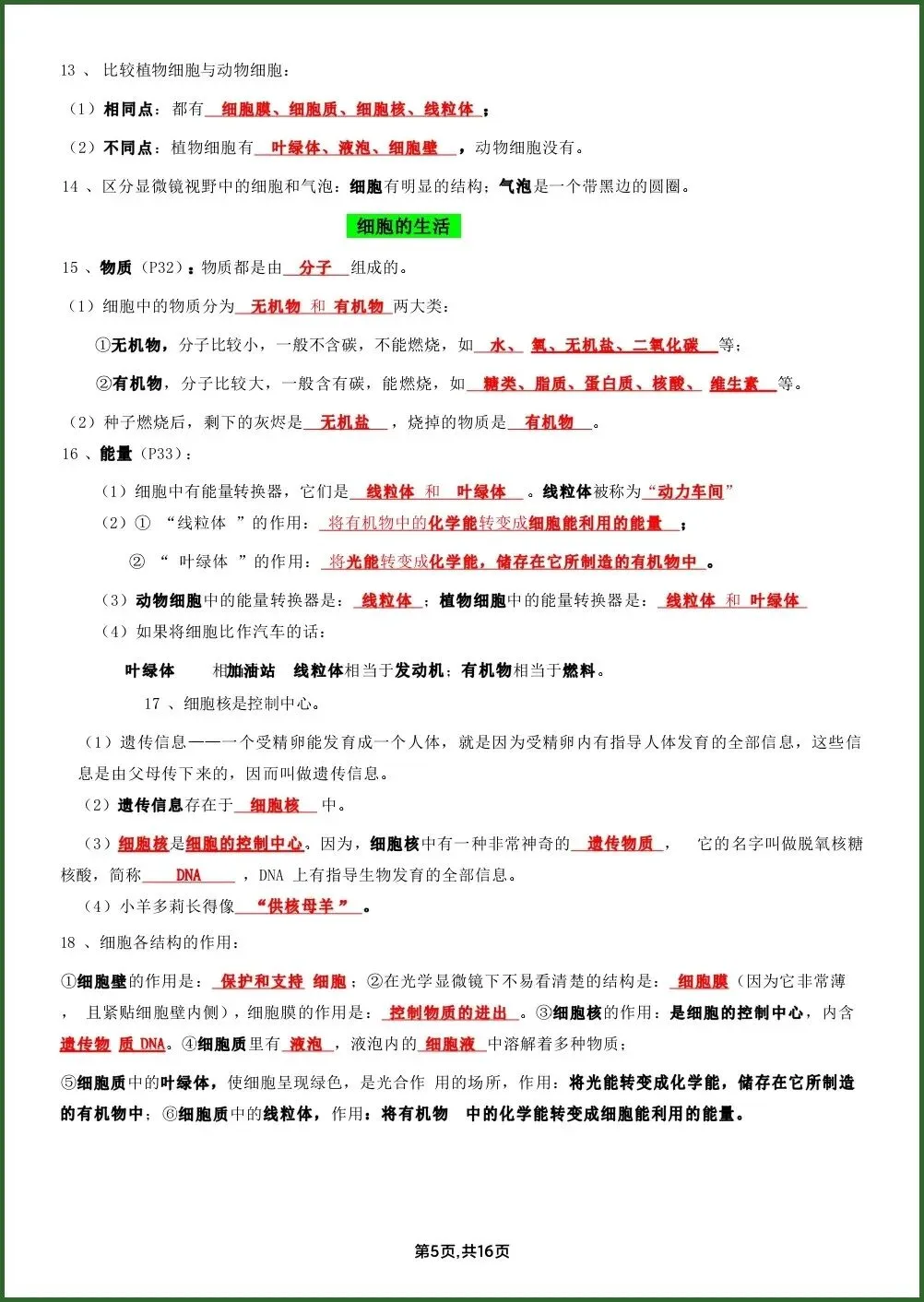 初一新教材七上生物全册课文基础知识点梳理背读总结电子打印版!(2026 新)-第4张图片-四季读书网 初一新教材七上生物全册课文基础知识点梳理背读总结电子打印版!(2026 新)-第4张图片-四季读书网