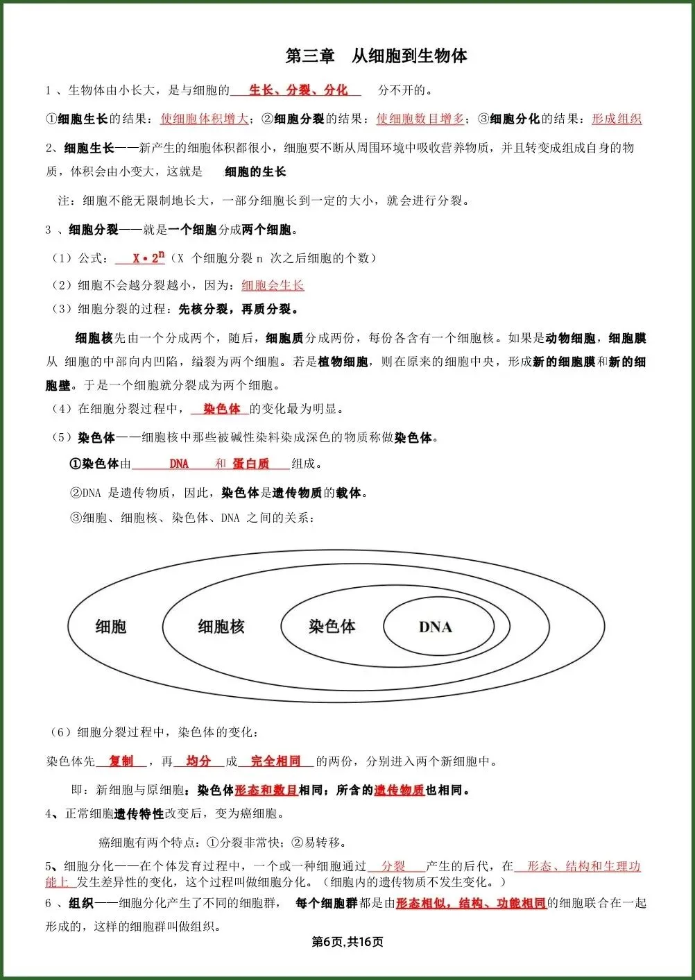 初一新教材七上生物全册课文基础知识点梳理背读总结电子打印版!(2026 新)-第5张图片-四季读书网 初一新教材七上生物全册课文基础知识点梳理背读总结电子打印版!(2026 新)-第5张图片-四季读书网