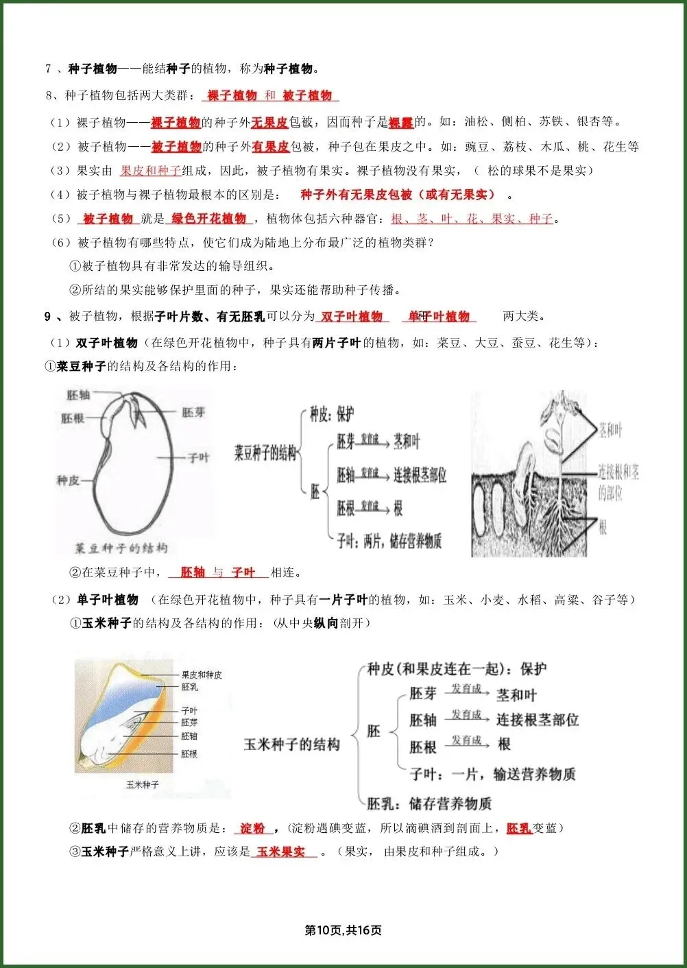 初一新教材七上生物全册课文基础知识点梳理背读总结电子打印版!(2026 新)-第7张图片-四季读书网 初一新教材七上生物全册课文基础知识点梳理背读总结电子打印版!(2026 新)-第7张图片-四季读书网