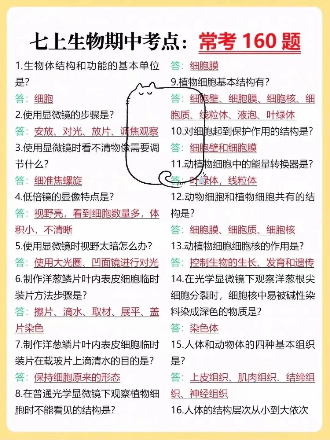 【初一】2026新版七年级上册全科期中必背重点知识清单,完整版可打印-第13张图片-四季读书网