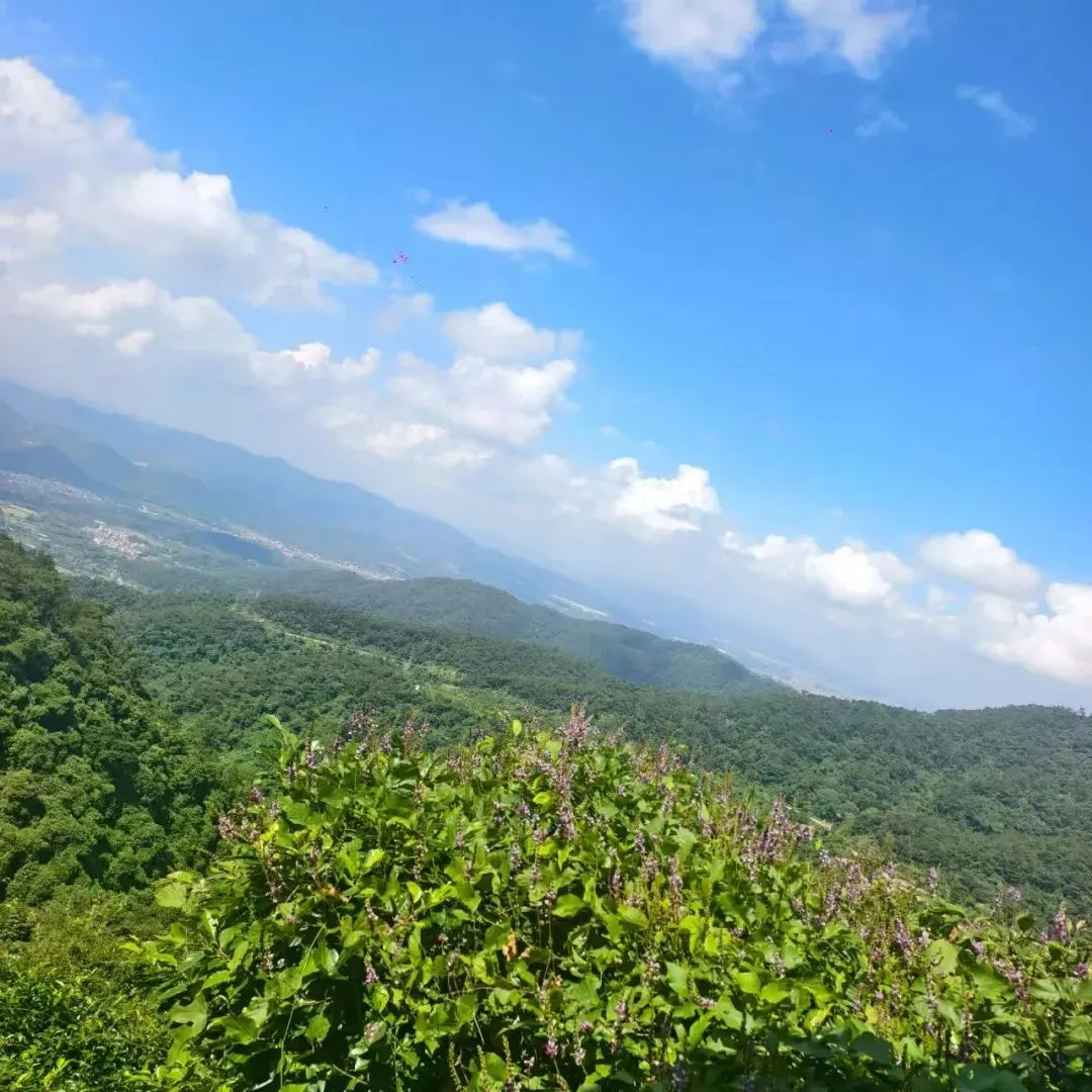 高考作文写作技巧-第1张图片-四季读书网 高考作文写作技巧-第1张图片-四季读书网