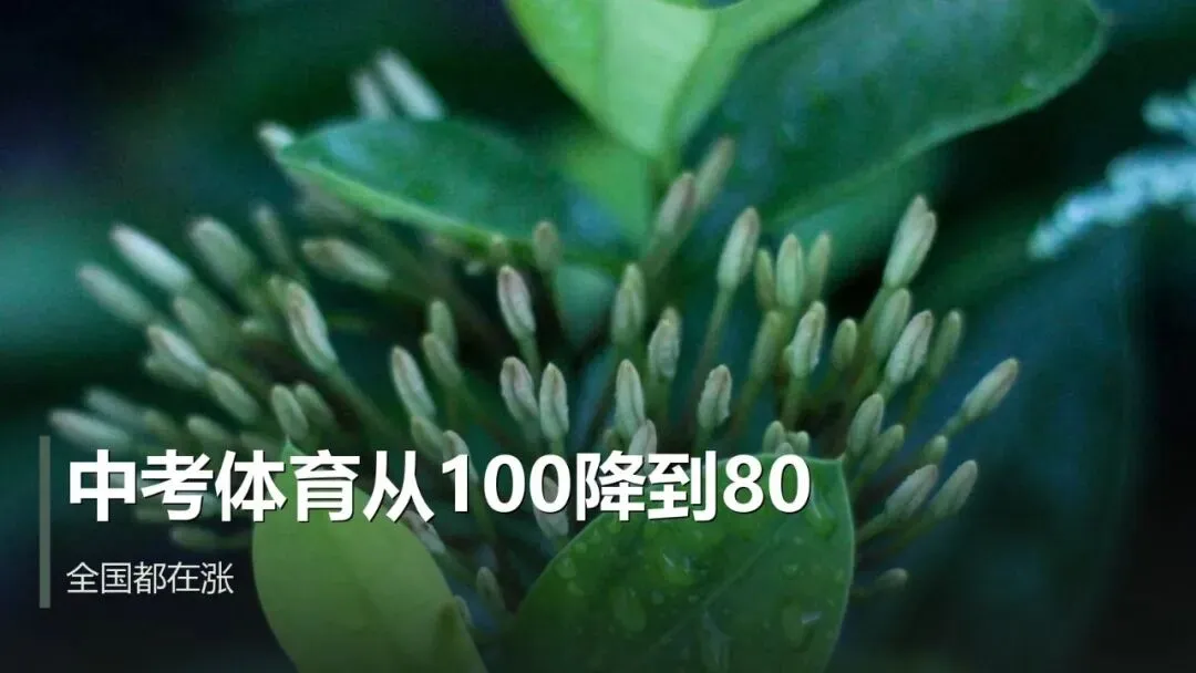 中考体育涨到100分才两年,这个省份又减20分-第1张图片-四季读书网 中考体育涨到100分才两年,这个省份又减20分-第1张图片-四季读书网