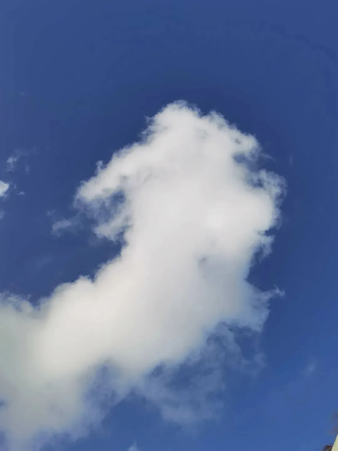 初三娃数学成绩剧降,何解?补习班会是最终解吗?-第1张图片-四季读书网