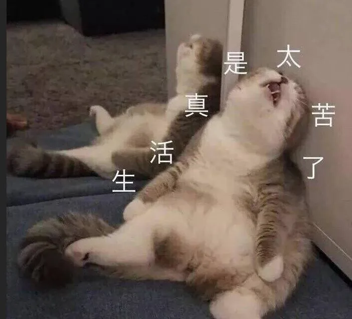 【全真模考】模考串讲押题班即将开启,助你攻克MBA联考!-第3张图片-四季读书网