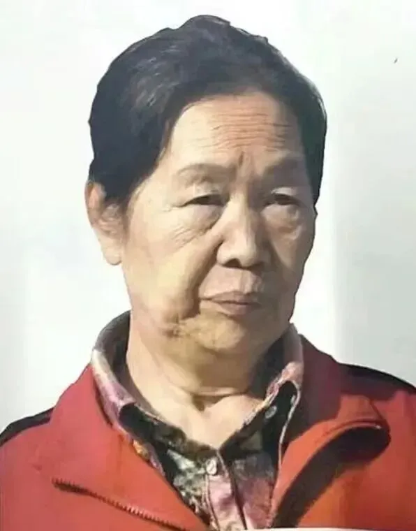 【31省完整版】2025届美术联考真题汇总-第47张图片-四季读书网