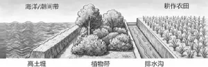 2027届广西崇左市高三9月模拟测试 地理-第7张图片-四季读书网 2027届广西崇左市高三9月模拟测试 地理-第7张图片-四季读书网
