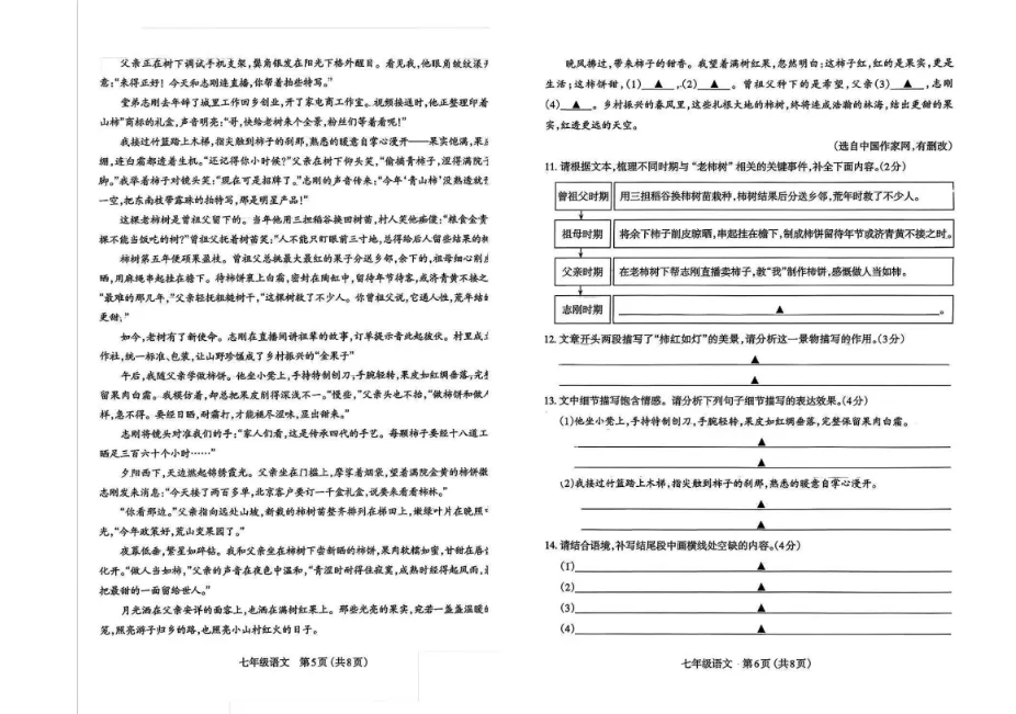 【初一全科+答案】太原市2025-2026学年第一学期七年级期中学业诊断-第5张图片-四季读书网 【初一全科+答案】太原市2025-2026学年第一学期七年级期中学业诊断-第5张图片-四季读书网