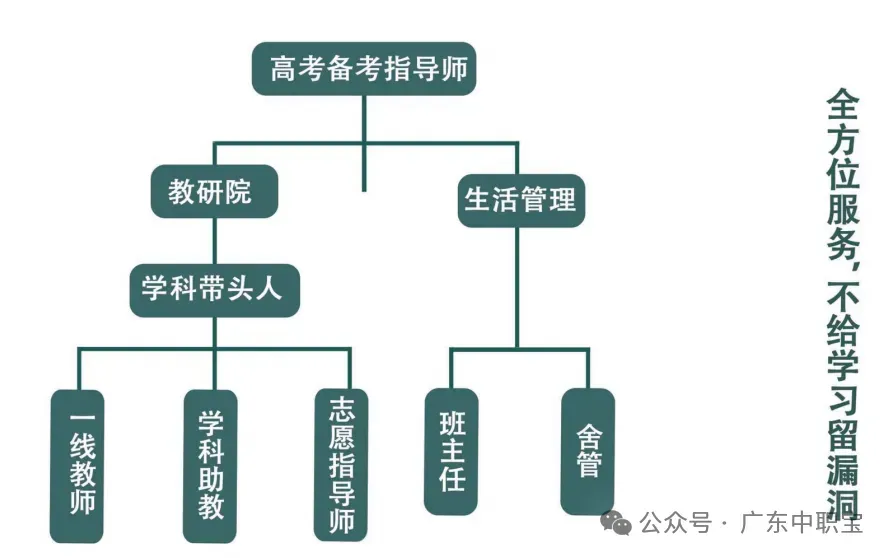 2027中职生必看!3+证书高职高考110所院校2026年录取分&排位【含15所本科】-第16张图片-四季读书网