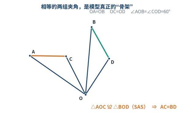初二全等“手拉手模型”,为什么换一张图,很多孩子就认不出来了?-第1张图片-四季读书网 初二全等“手拉手模型”,为什么换一张图,很多孩子就认不出来了?-第1张图片-四季读书网