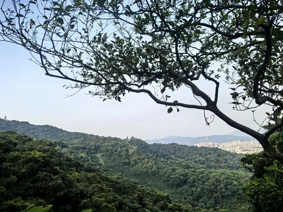 初三孩子明明知道要中考,却摆烂躺平,根源从来不是懒-第1张图片-四季读书网 初三孩子明明知道要中考,却摆烂躺平,根源从来不是懒-第1张图片-四季读书网