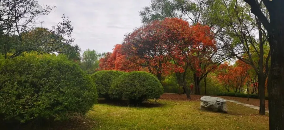 初二儿子的作业写到11点,心疼过后,我决定换一种方式陪他-第1张图片-四季读书网