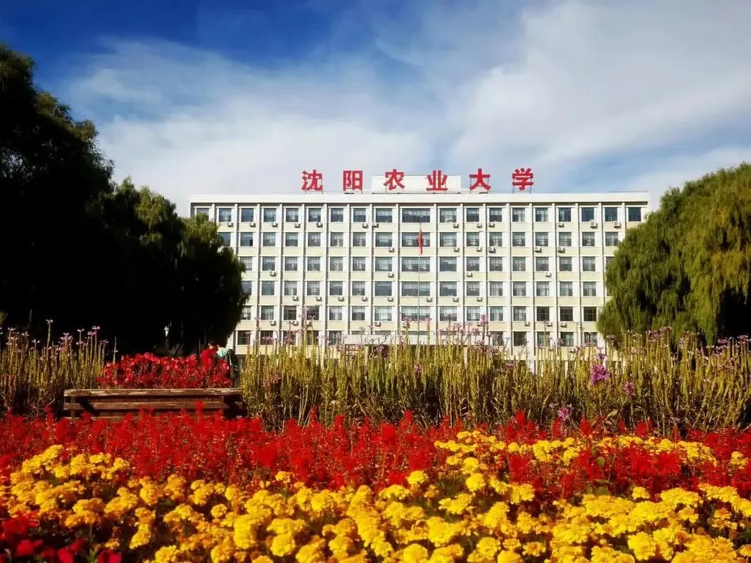 沈阳农业大学2026年—2024年高考山西省专业录取分-第3张图片-四季读书网