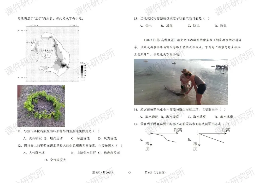 【系统整合+习题精讲+真题汇编】27年高考地理一轮专题复习课件!讲透《海岸地貌》| 课件+讲义+汇编-第35张图片-四季读书网 【系统整合+习题精讲+真题汇编】27年高考地理一轮专题复习课件!讲透《海岸地貌》| 课件+讲义+汇编-第35张图片-四季读书网