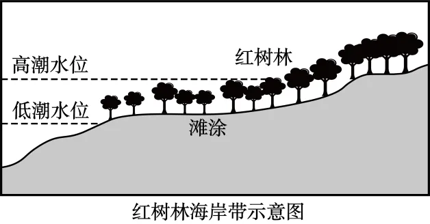 2026届普通高考适应性模拟考试地理(三)-第8张图片-四季读书网 2026届普通高考适应性模拟考试地理(三)-第8张图片-四季读书网