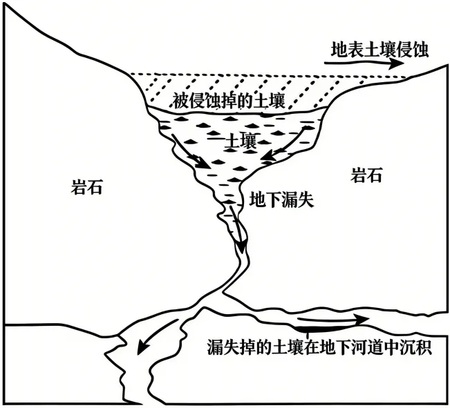 2026届普通高考适应性模拟考试地理(三)-第9张图片-四季读书网 2026届普通高考适应性模拟考试地理(三)-第9张图片-四季读书网