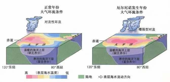 高考地理中的厄尔尼诺与拉尼娜-第1张图片-四季读书网 高考地理中的厄尔尼诺与拉尼娜-第1张图片-四季读书网