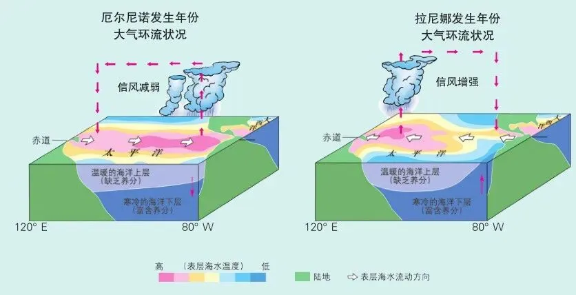 高考地理中的厄尔尼诺与拉尼娜-第2张图片-四季读书网 高考地理中的厄尔尼诺与拉尼娜-第2张图片-四季读书网