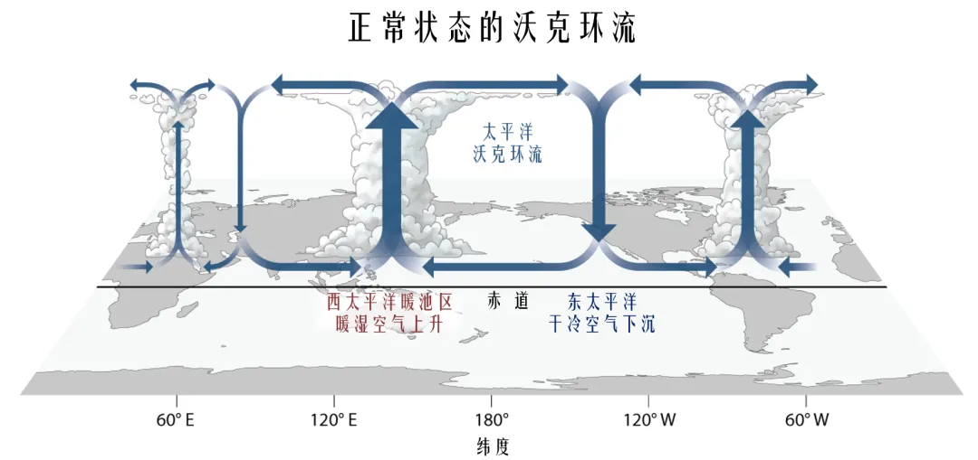 高考地理中的厄尔尼诺与拉尼娜-第3张图片-四季读书网 高考地理中的厄尔尼诺与拉尼娜-第3张图片-四季读书网