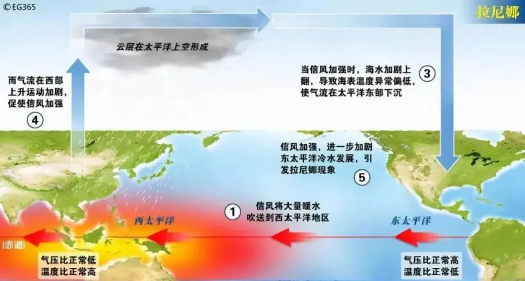 高考地理中的厄尔尼诺与拉尼娜-第7张图片-四季读书网 高考地理中的厄尔尼诺与拉尼娜-第7张图片-四季读书网