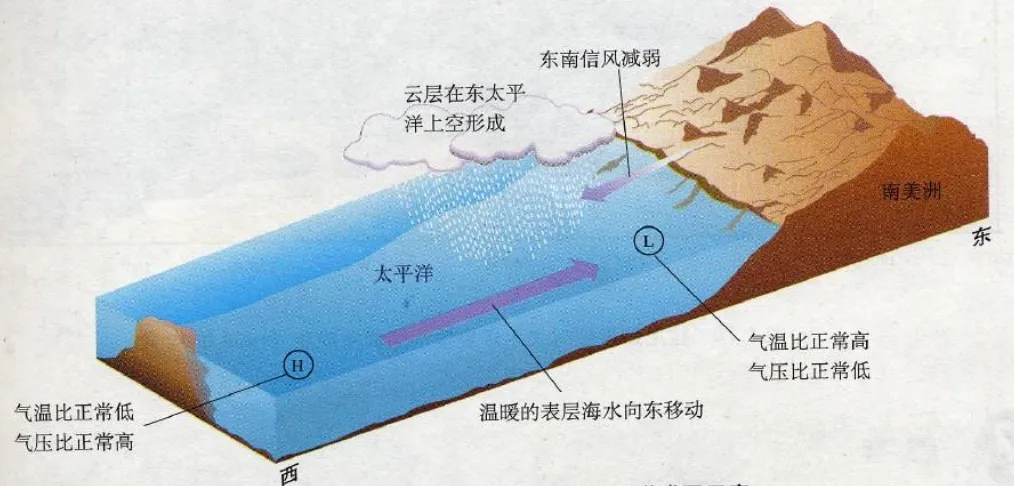 高考地理中的厄尔尼诺与拉尼娜-第8张图片-四季读书网 高考地理中的厄尔尼诺与拉尼娜-第8张图片-四季读书网