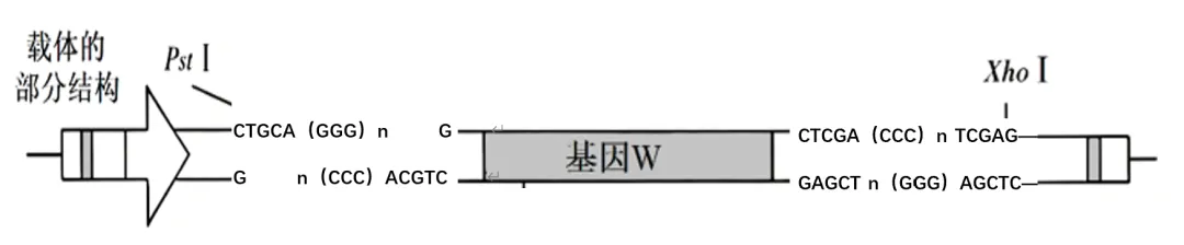 山东高考每日一练(25•3)-第2张图片-四季读书网 山东高考每日一练(25•3)-第2张图片-四季读书网