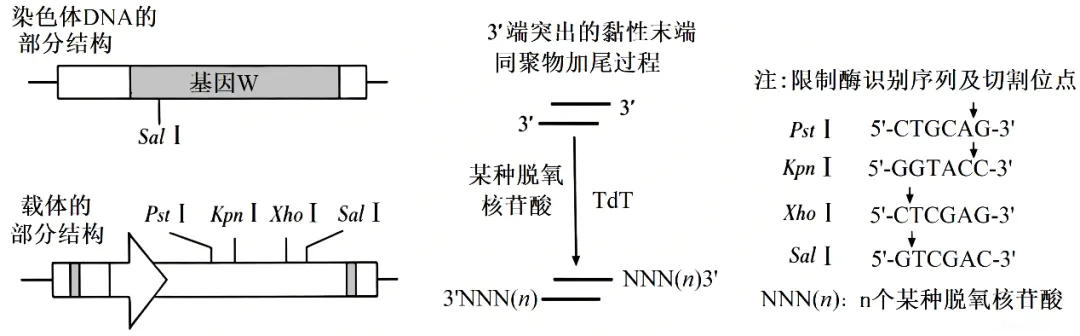 山东高考每日一练(25•3)-第3张图片-四季读书网 山东高考每日一练(25•3)-第3张图片-四季读书网