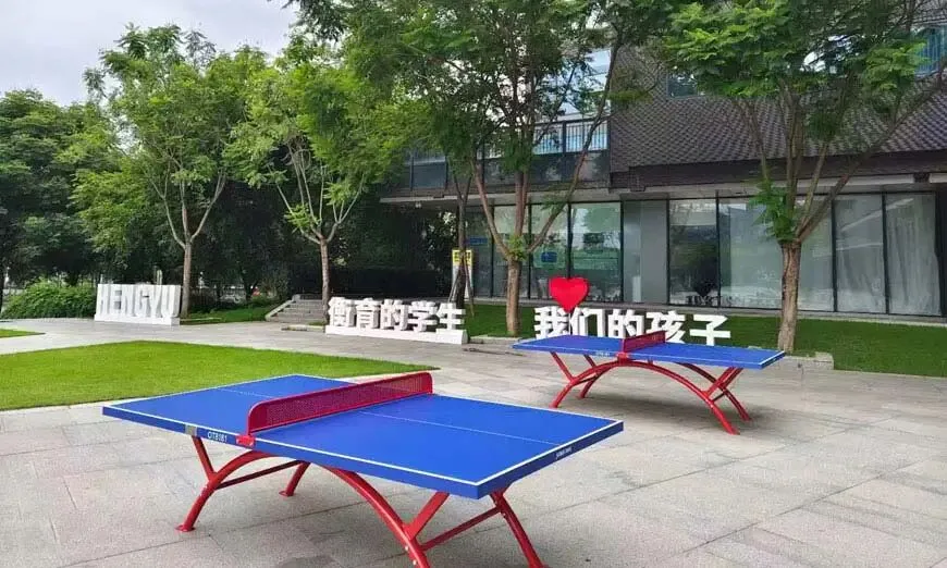 成都艺体文补择校|衡育优才高考学校 2027 届文化课全日制全科冲刺-第13张图片-四季读书网