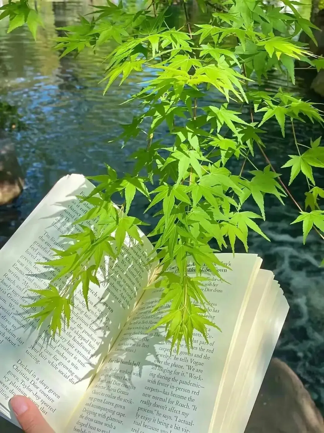初三儿子退步百名,老师劝我多督促,我没报高价辅导班,反而给他买了一身新装备-第3张图片-四季读书网 初三儿子退步百名,老师劝我多督促,我没报高价辅导班,反而给他买了一身新装备-第3张图片-四季读书网